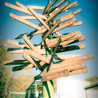 令人欣喜的自动攻击网站工具下载