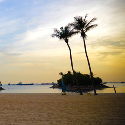 攻击网站服务器